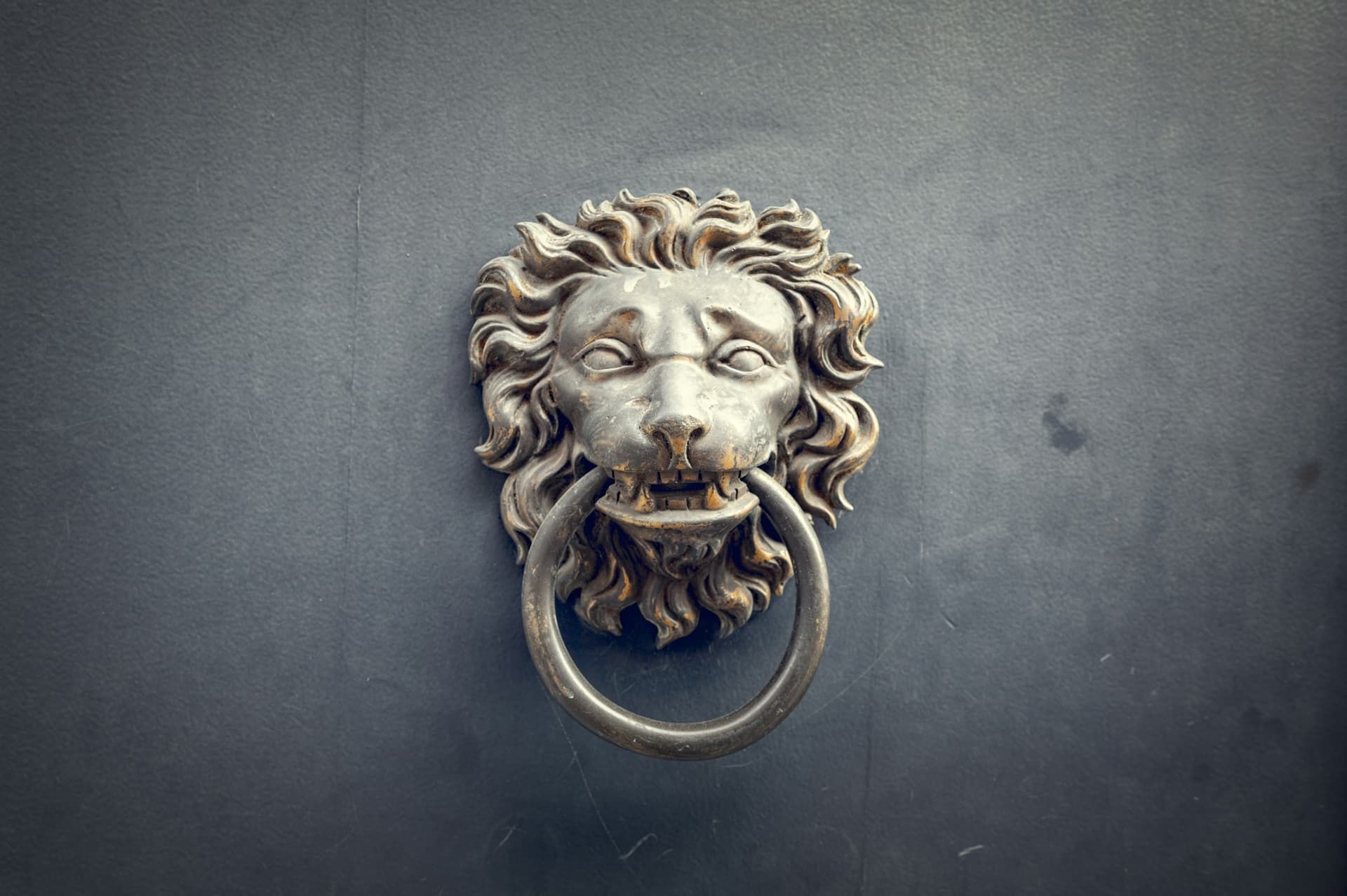 Brass lion head door knocker on a dark painted period front door